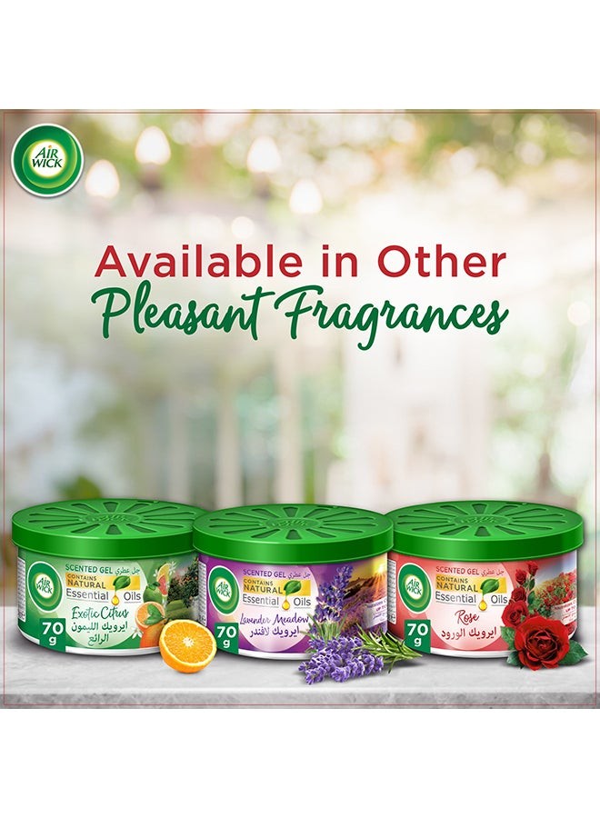 AIRWICK ALL FRAGRANCE 70G